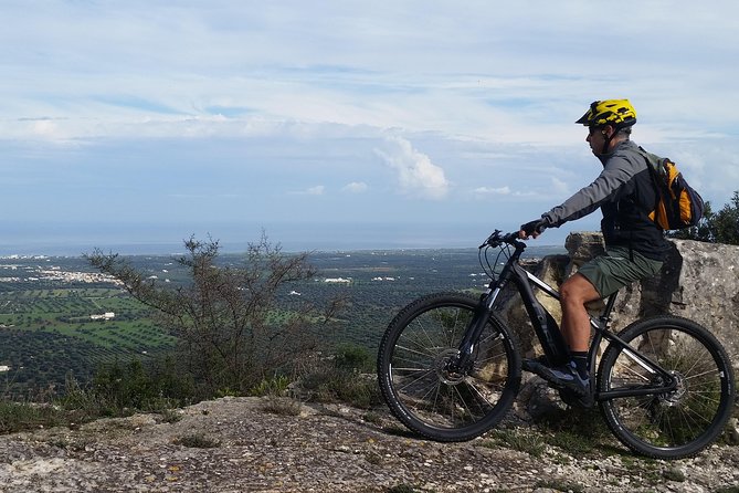 Ebike Tours: Alberobello and the Wines of Valle Ditria - Cycling Through Vineyards and Olive Groves