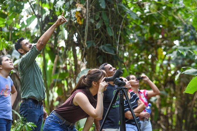 Ecogarden Arenal Sloth Tour - Sighting Diverse Wildlife