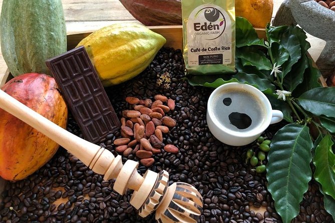 Eden Mocca Tour - Experience Details