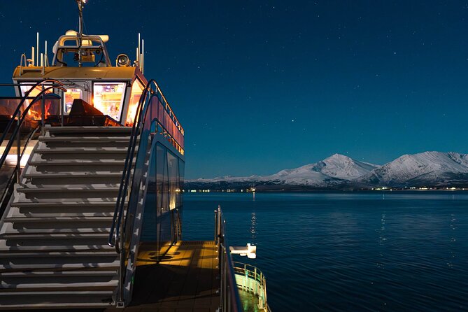 Electric Northern Lights Cruise - Cruise Features and Amenities