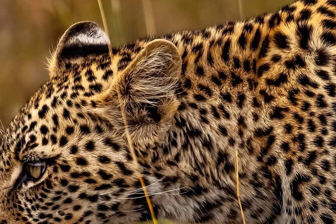 Elephant Special Serengeti & Ngorongoro Crater 5 Days / 4 Nights - Accommodation Details
