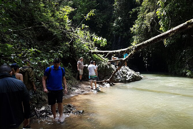 Embera Village and Waterfall Eco Tour With Private Guide - Exploring the Embera Village