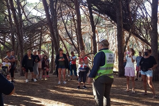 Energy Forest Experience - Activities and Offerings