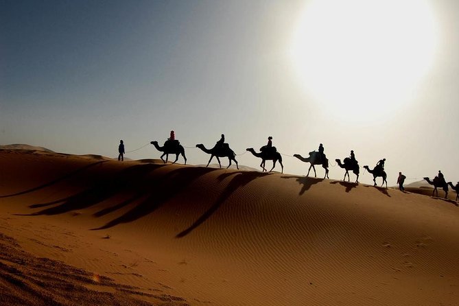 Erg Chegaga Desert in Two Days One Night From Zagora - Detailed Itinerary of the Tour