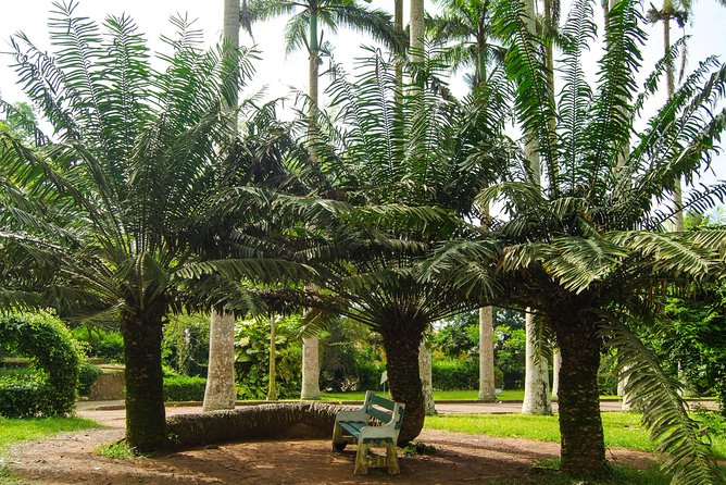 Escape Accra City to Aburi Gardens and Tetteh Quarshie Cocoa Farms - Transportation and Comfort