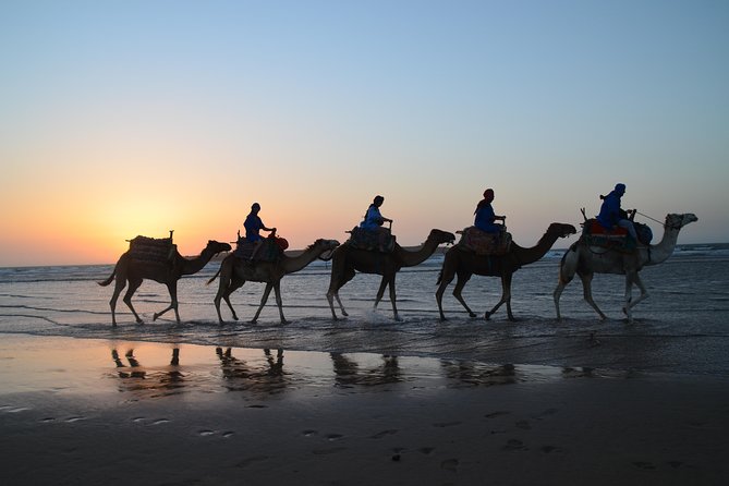 Essaouira 2-Hour Camel Adventure Ride - Meeting Location and Pickup Options
