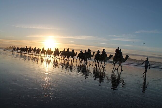 Essaouira: 2h/ Quad + 2h/ Dromedary Free Transfer - Meeting Point and Pickup