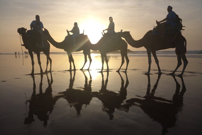 Essaouira Private Camel Ride (1 Hour). - Health and Safety Information