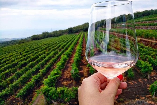 Etna Panoramic Private Tour+Wine Taste&Food Combination(Amazing) - Zafferana Etnea Exploration