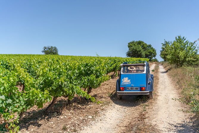 Exceptional Excursion in a 2CV in the Luberon - Exploring the Luberons Landscapes
