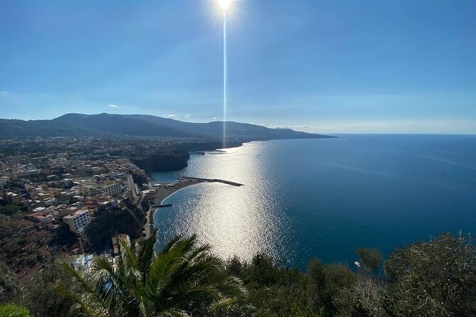 Exclusive Tour in Sorrento and Pompeii With Transport and Tickets - Additional Tour Details
