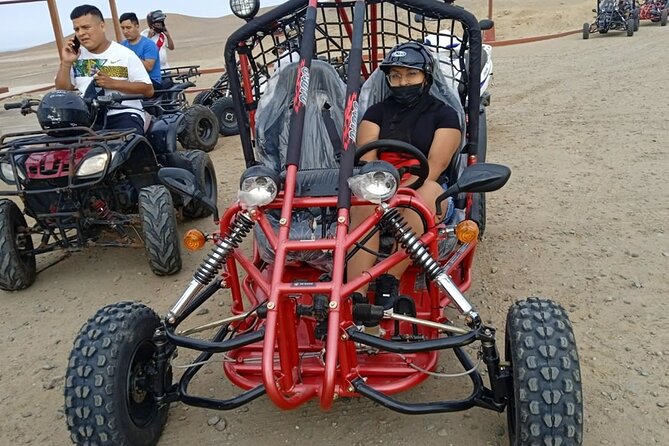 Excursion in Minibuggys in Paracas National Reserve - Inclusions and Requirements