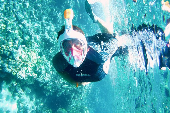 Excursion to Tiran Island by Boat - Inclusions and Highlights