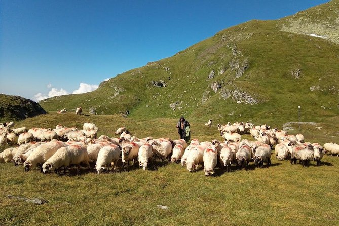 Expedition in Fagaras Mountains From Brasov (Private Tour!) - Inclusions and Equipment
