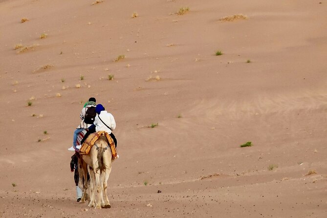 Experience Luxury in Zagora: 2-Day Desert Adventure - Day 1 Itinerary