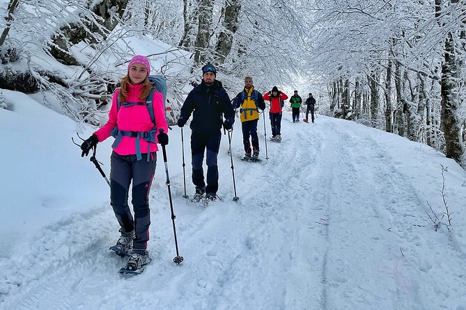 Experience Snowshoeing in Olympic Mountain Bjelašnica - Traveler Photos Showcase