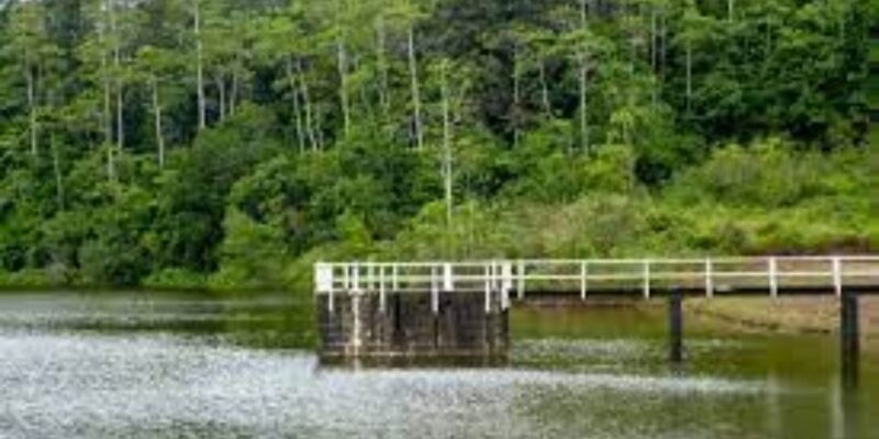 Exploration of Hiyare Forest Through a Nature-Guided Trek - Itinerary Details