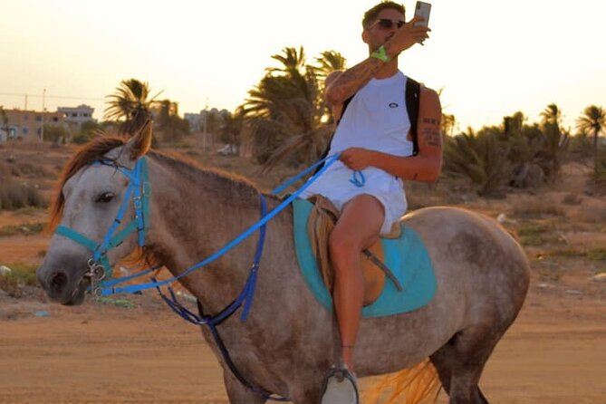 Explore Djerba With Our Four-Legged Friends - Included Amenities
