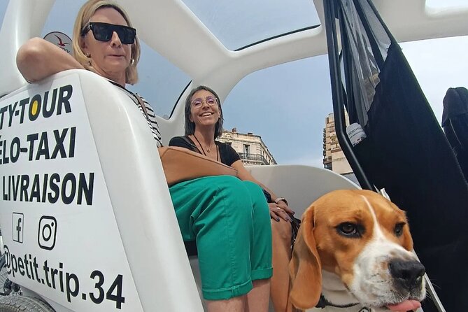 Explore Montpellier by Bike-Taxi on a 3-Hour Private Trip - Review Breakdown and Credibility