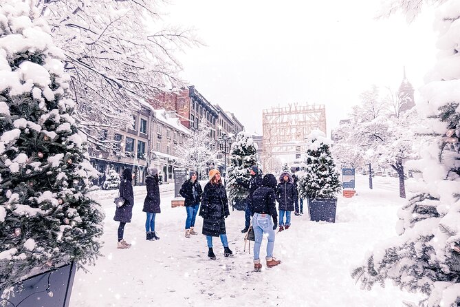 Explore Old Montreal Walking Tour by MTL Detours - Tour Highlights and Features