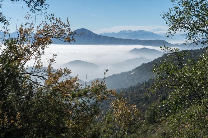 Explore the Coastal Mountains - Private Day Trip From Santiago - Savor the Wine Tasting Experience