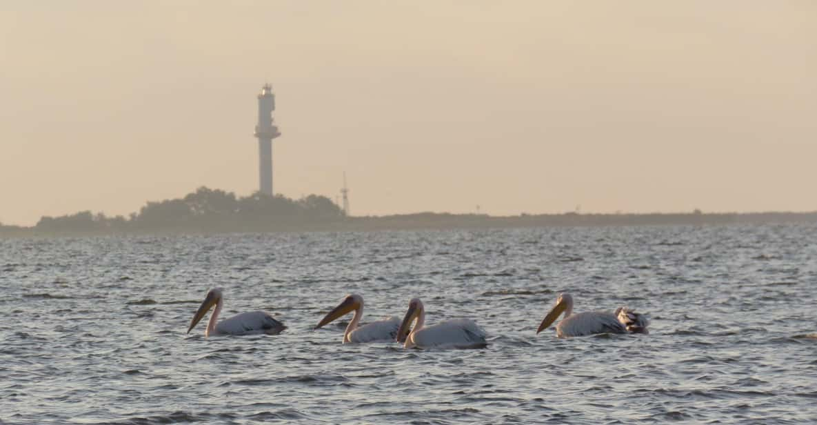 Exploring the Magic of the Danube Delta Through Photo Lenses - Planning Your Photo Adventure