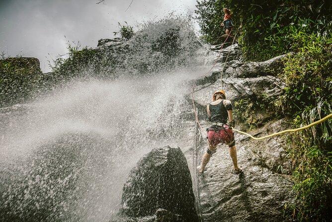 Extreme Waterfall Rappelling at Bocawina Rainforest - Antelope Falls - What to Expect During the Tour