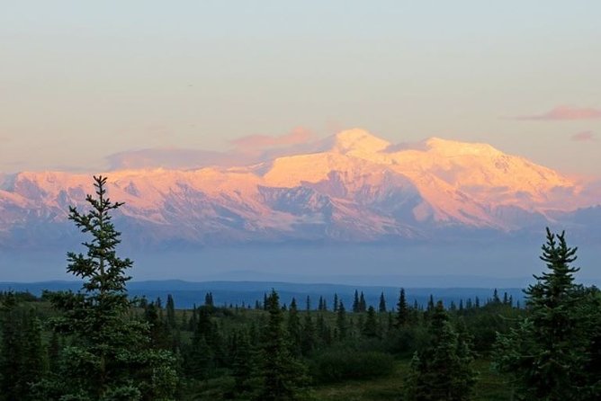 Fairbanks to Denali Shuttle Service - Experience and Scenic Commentary