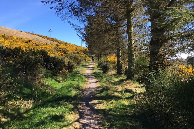Family Bike Rides - Bike Hire & Guide for Off-road Cycling - Local History and Ancient Sites