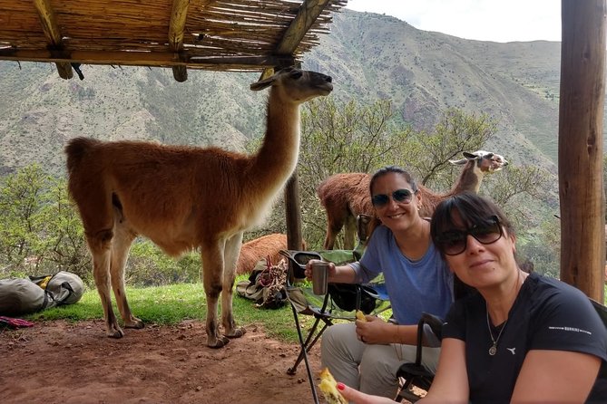 Family Trek With Llamas (Full Day) - Meeting and Pickup Details