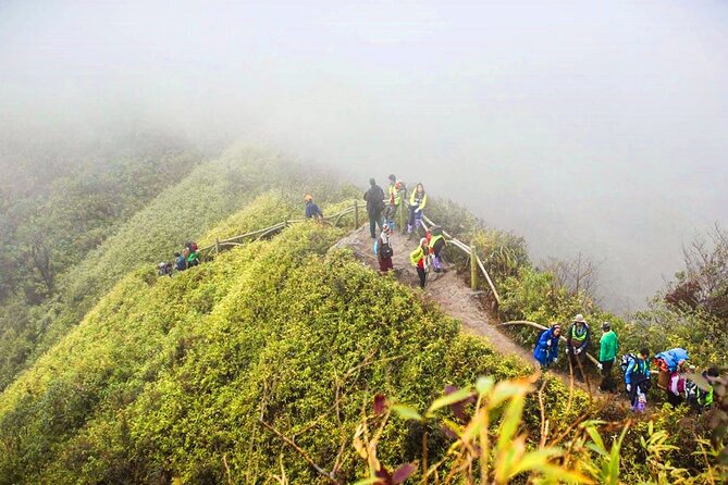 Fansipan Mount Trekking 1 Day - Pricing and Inclusions