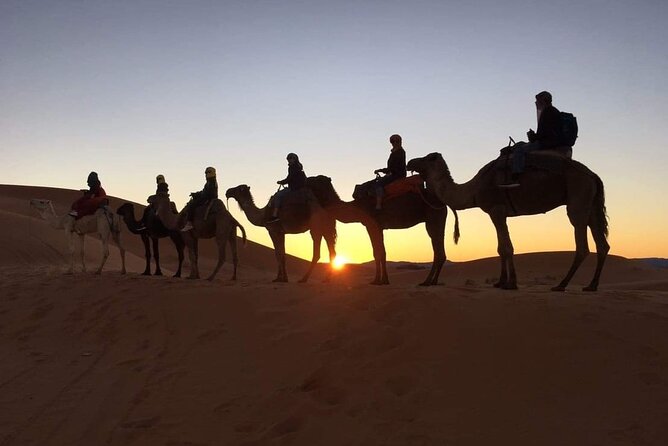 Fez to Marrakech via Merzouga Desert - 3 Day Desert Tour - Day 2: Exploring Dades Gorges