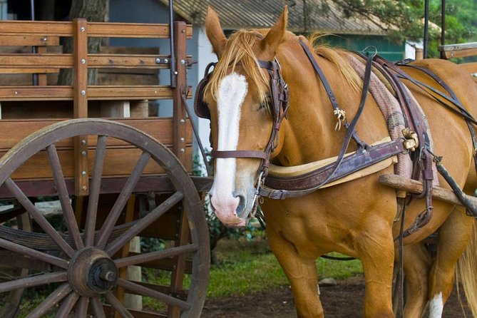 Fiesta Gaucha and Day Ranch in Santa Susana Ranch - Pickup and Transportation
