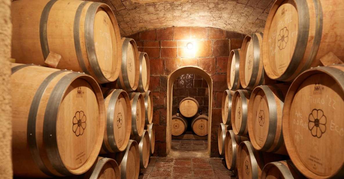 Finca Viladellops: Eco-Tour Through Vineyards and Winemaking - Experience Highlights