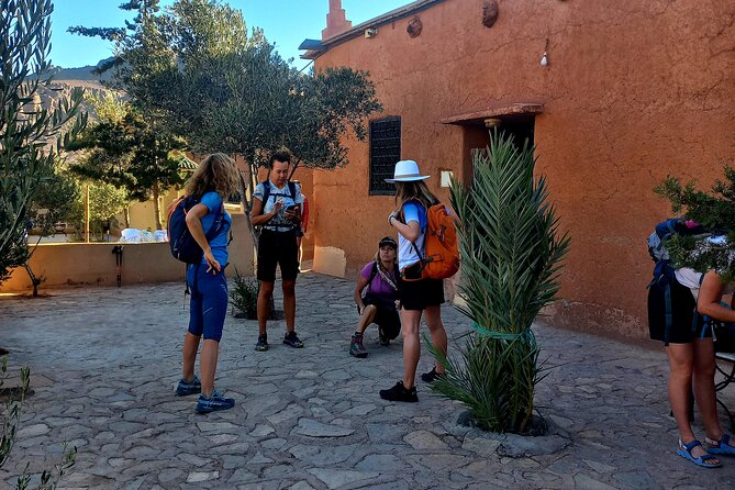Fint Oasis Private Day Hike - Key Features and Highlights