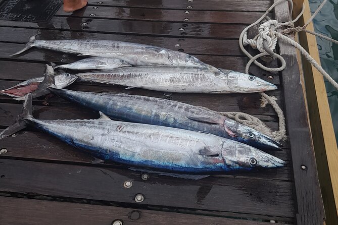 Fishing Activity in Oranjestad - Inclusions and Amenities