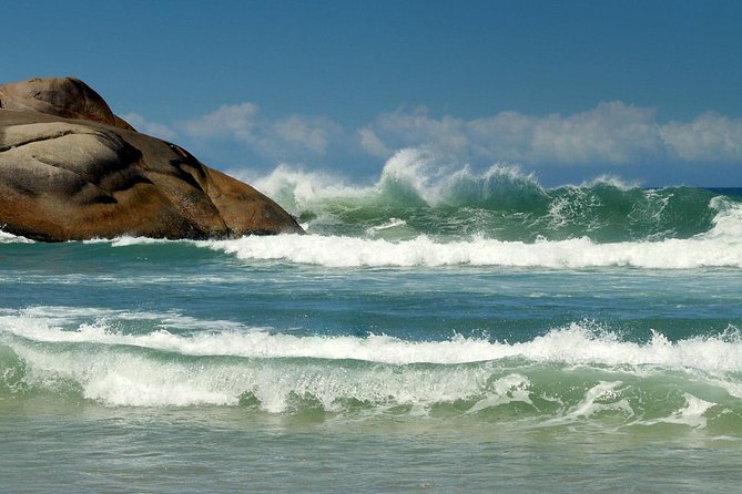 Florianópolis City Tour From Balneário Camboriú - Itinerary Highlights