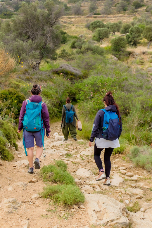 Follow the Riverside Hiking Tour (Private Experience) - Activities and Features