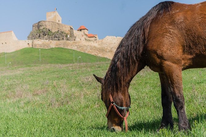Footsteps of Saxons Day Tour, in Transylvania, From Targu Mures - Included in the Tour