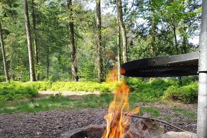 Forest Gourmet at the Countryside Near Halmstad With Lunch - Meeting Location and Schedule