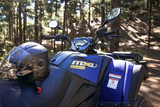 Forest & Off Road National Park Quad Biking Tour - Meeting and Pickup