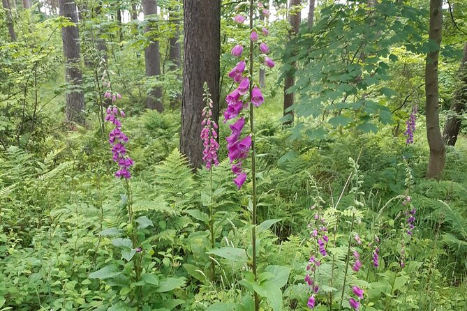 Fort William and Glencoe - Inclusions and Accessibility