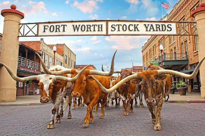 Fort Worth Highlights Tour - Key Attractions