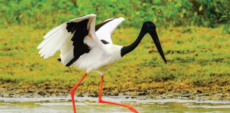 Four-Day Luxury Camping and Photography Expedition - Itinerary and Daily Activities
