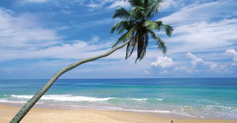 Four Day Tour in Southern Province Sri Lanka - Relax at Unawatuna and Mirissa Beaches