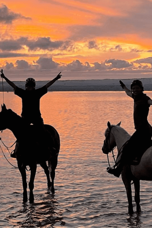 Franschhoek: 2h Horseback Riding at Sunset With Sundowners - Scenic Highlights