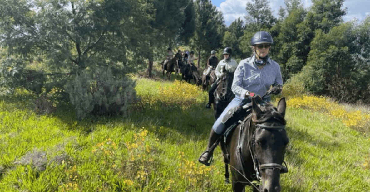 Franschhoek: Full-Day Horseback Riding and Wine Tasting Tour - Experience Highlights