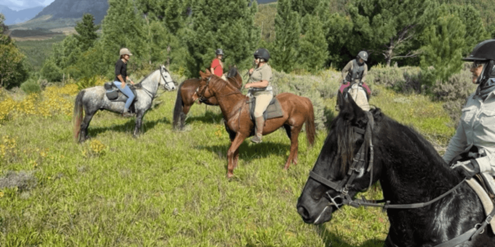 Franschhoek: Half Day Horse Trail and Wine Tasting - Pricing and Reservation Details