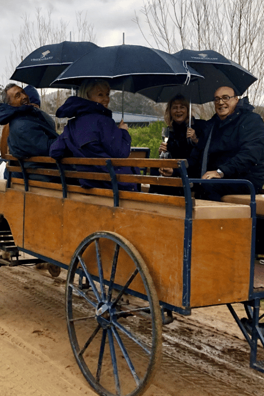 Franschhoek: Vrede En Lust Wine Estate 1H Carriage Ride - Highlights of the Carriage Ride