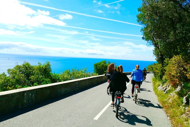 French Riviera Grand Panoramic E-Bike Tour - Included Activities